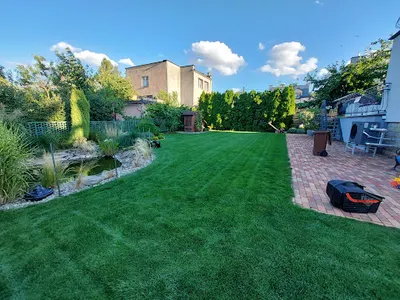 Dorek Ogrodnik Dorian Tokarski Legnica